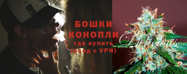 сатива Абдулино