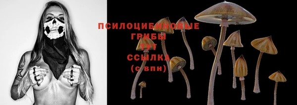 скорость Алзамай