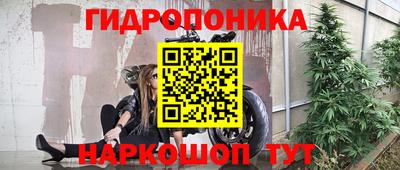 твердый Будённовск