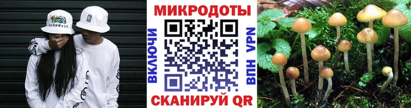 Галлюциногенные грибы Magic Shrooms Брянск