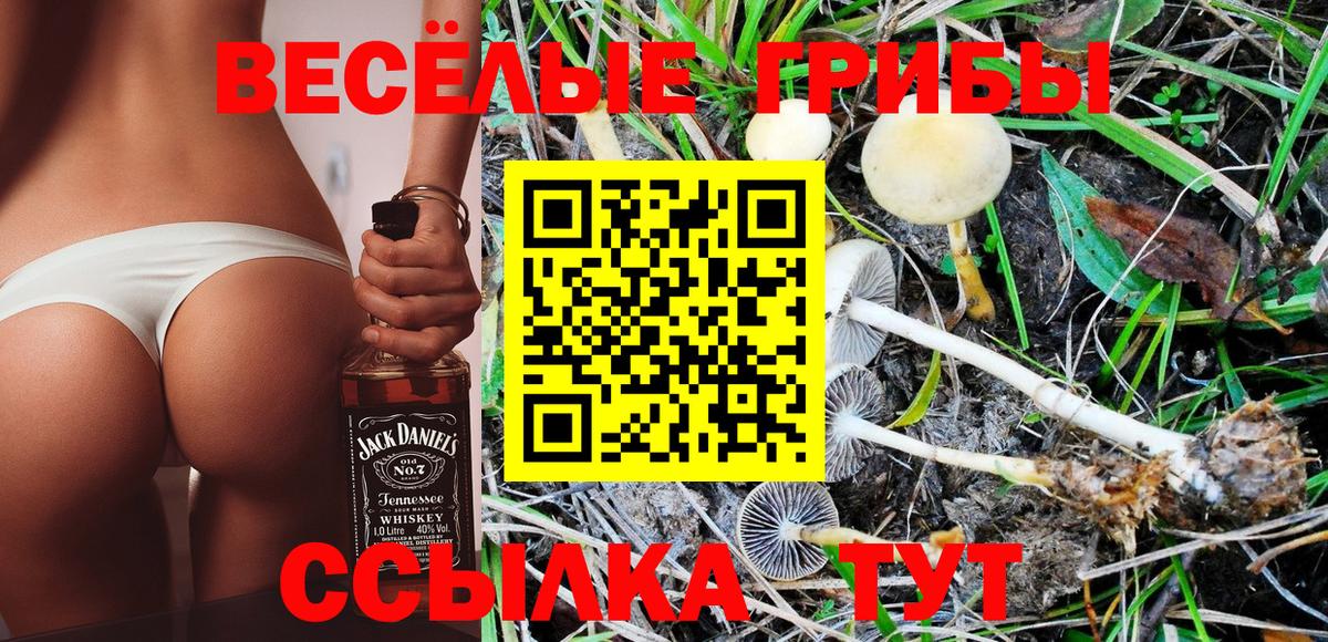 Галлюциногенные грибы Magic Shrooms Брянск
